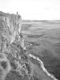 Sheer cliffs provide a dramatic setting for up-close condor viewing.