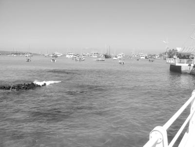 Boats in Santa Cruz Island’s harbor. Photos: Sefing