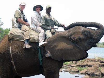 Andy, Lisa and our driver, Kennedy, aboard Liwa, a young female African elephant, near the Zambezi River.