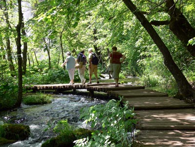 Forest paths in Plitvice National Park follow raised timber walkways.