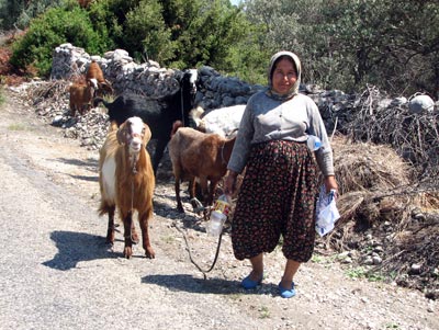 We encountered this woman and her goats on our trip through Turkey. She happily posed for us.