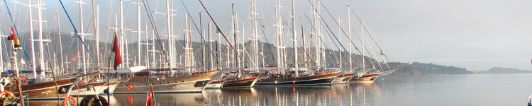 A view of the harbor at Fethiye.