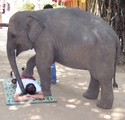 Randy receiving a very traditional Thai massage.