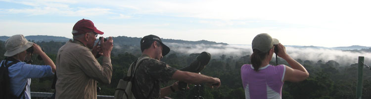 Guide Jorge and our group standing on the 150-foot-high tower which was erected by the Cristalino Jungle Lodge to facilitate viewing and photographing of the upper canopy forest. 