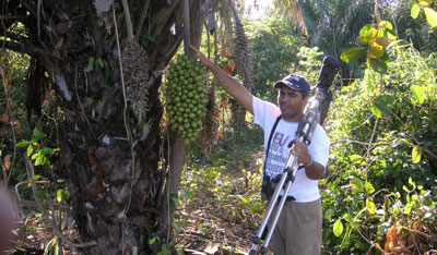 Eduardo Falcão, owner of and professional birding guide for the Jaguar Ecolodge, standing next to the Piacava Palm, a favorite food source for the hyacinth macaw.