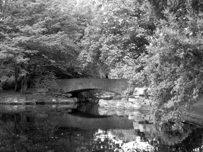 A lake fed by a waterfall is crossed by an arched stone bridge. 