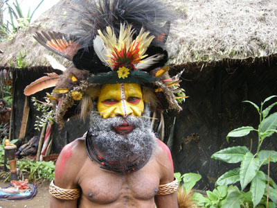 A Huli wigman from the Tari region of Papua New Guinea in full regalia, including bird of paradise feathers and face paint. 
