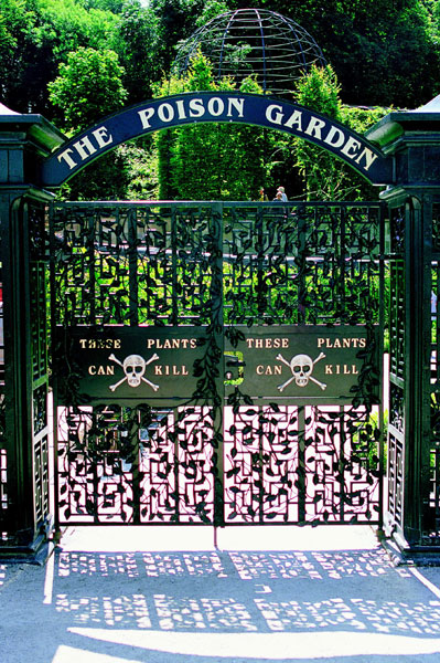 Poison Garden A Head Twirler At Alnwick Castle International