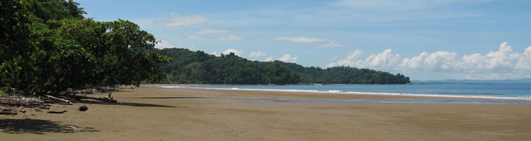 Beach at Marino Ballena National Park, near Dominical.