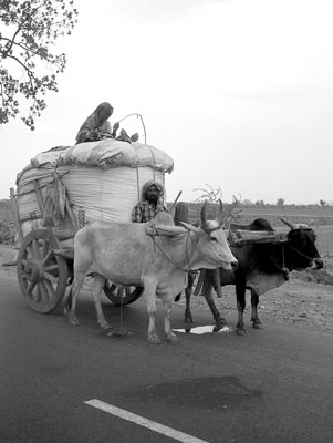 Gypsy wagons are a timeless feature of rural central India.