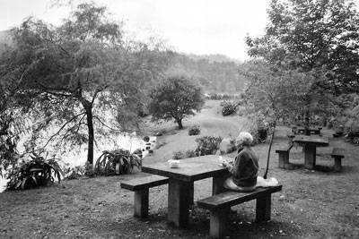 Alice at one of the lovely picnic spots we stopped at during our trip. 