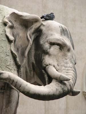 I love the expressive face of Bernini’s elephant, which bears the obelisk of Santa Maria sopra Minerva on its back.