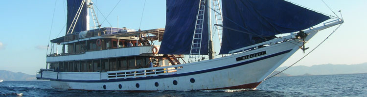 We spent four days on the 3-masted schooner Bidadari traveling around the islands encompassed by Indonesia's Komodo National Park.