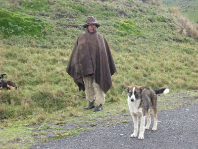 A lone shepherd and his dog keep watch on the Andes’ páramo.