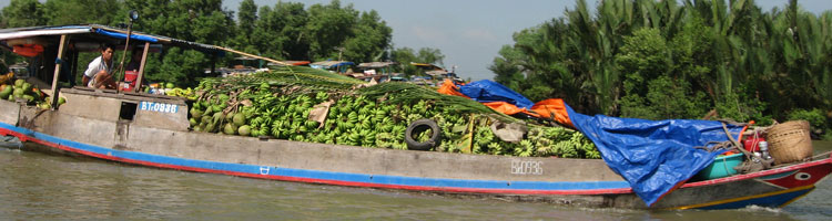 A boatload of bananas on the Mekong River.