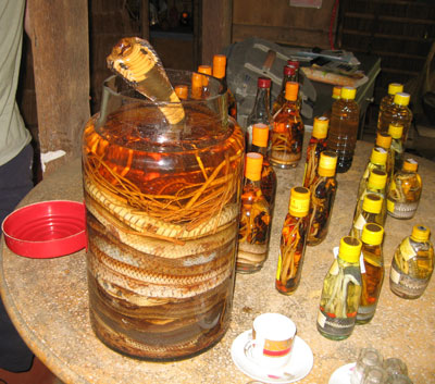 Snake wine at Ben Tre.
