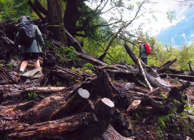 A rough spot along the trail.