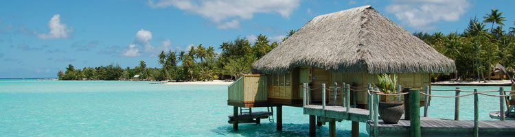 An overwater bungalow on a palm tree-lined lagoon at the Bora Bora Pearl Beach Resort.