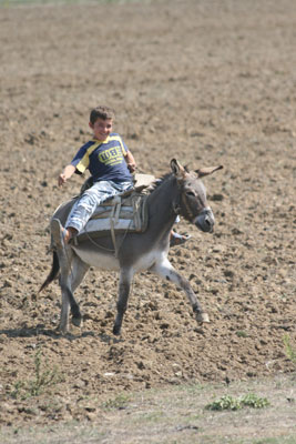 Shepherd boy in Sarandë, Albania.