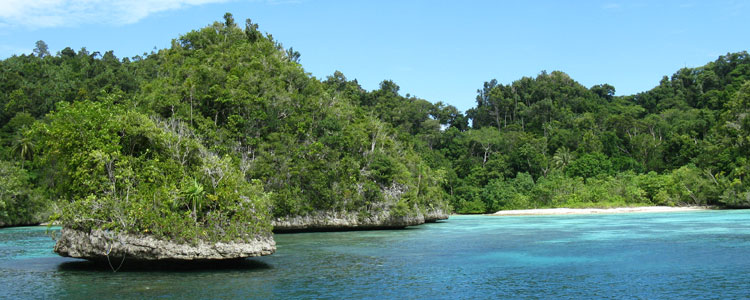 The Raja Ampat archipelago is a collection of pristine Indonesian islands. Photos by Gail Taylor