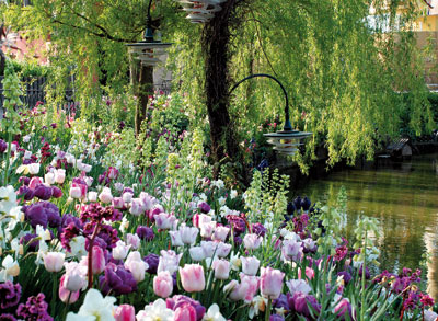 Spring tulips border Tivoli Lake, once part of the city moat. Photo courtesy of Tivoli Gardens