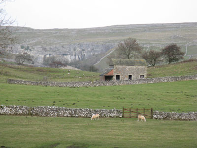 Farmland in Yorkshire Dales National Park.