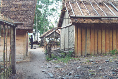 Reconstruction of Viking Age houses at Birka. Photo: Skurdenis