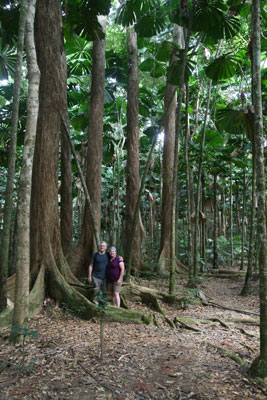 Bill and Betty Reed in Daintree Rainforest.