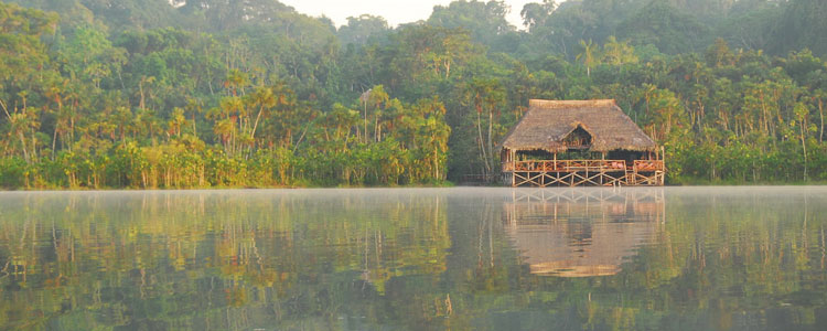 A view of Sacha Lodge in Ecuador’s Amazon at dawn.