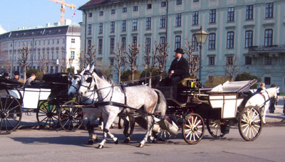 Horse and carriage at the Hofburg Palace Complex.