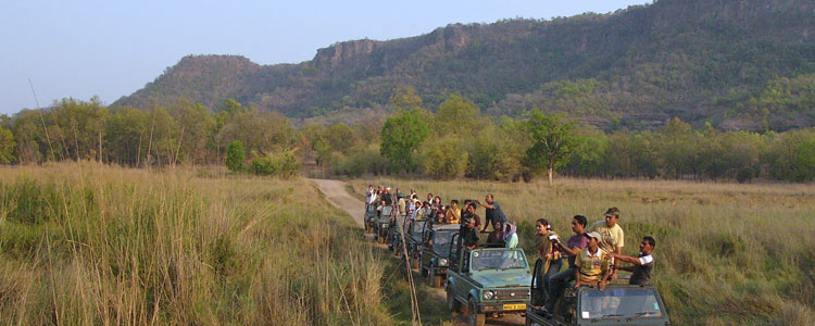 A group of tiger-watchers, with the Bandhavgarh mesa in the distance.