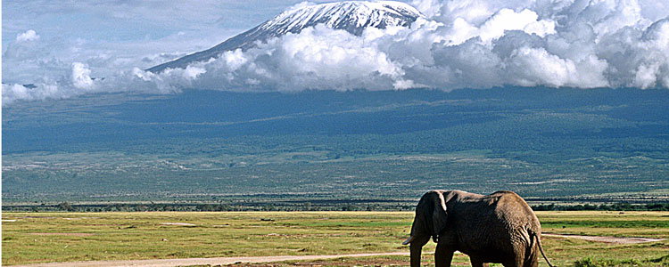 Mt. Kilimanjaro and a local resident.