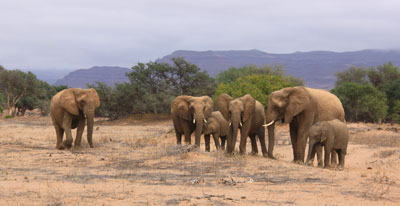 Family portrait in Damaraland.