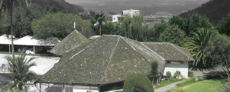 View from the balcony of my room at Hotel Quito.