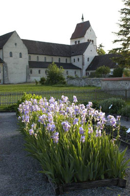 The monastery church of St. Maria and St. Markus with Walahfrid Strabo’s medicinal garden in front, here blooming with iris (not in bloom during Yvonne’s fall visit) — Reichenau, Lake Constance. Photo courtesy of German National Tourist Office