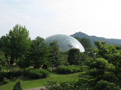 Hundreds of lilies perfumed the air during my visit to Tottori Hanakairo Flower Park.