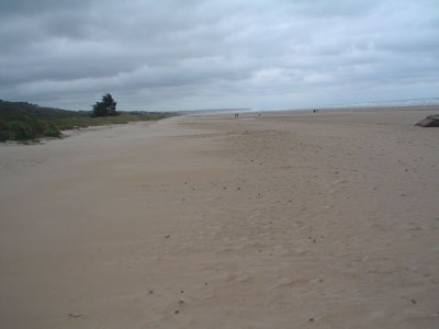 The beach at Normandy.