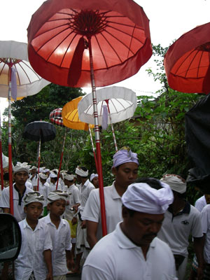 Procession of young men heading to a temple near Ubud, Bali.