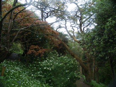 Paths lead through specimens collected by Sir Geoffrey's grandfather and father.