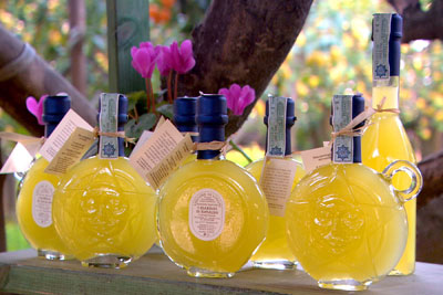 “Limoncello” is an Italian liqueur flavored with lemons. For some, it’s like sipping bottled sunshine. Photo courtesy of ETBD TV 