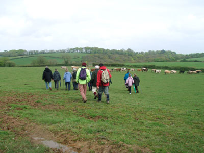 A walk during the annual Daphne du Maurier Festival turned out to be more “Wind in the Willows” than Daphne du Maurier.