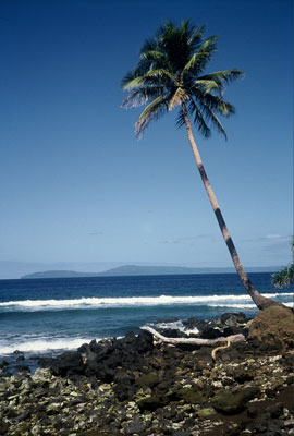 A typical rocky, volcanic beach on Ambae. There are no white-sand beaches, only a few black-sand beaches. Sharks lurk, so the locals do not do much swimming.