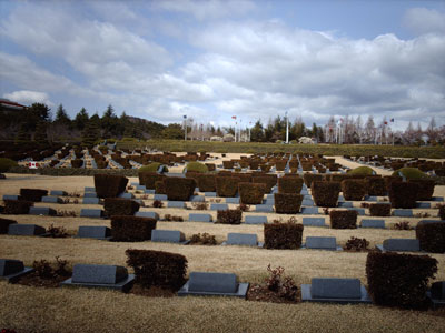 The United Nations Memorial Cemetery — Busan.