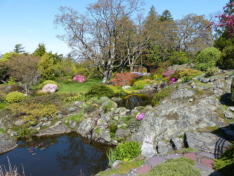 Ponds were created in the natural indentations of granite boulders — Abkhazi Garden. Photos: Yvonne Michie Horn