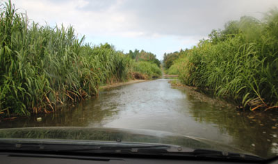 In the outer islands of Vanuatu, sometimes the river IS the road. This “road” is on the north coast of Malekula island.
