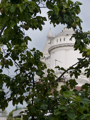 The basilica Sacré-Cœur glimpsed through a tree in the Montmartre Museum garden.