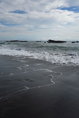 A tranquil beach near El Almejal, one of several ecolodges featured on a nature tour of Colombia.