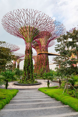 Supertree Grove, in the Marina Bay area of southern Singapore, has vertical gardens 25 to 50 meters tall, with a light-and-sound show at night. There’s a 22-meter-high walkway between two Supertrees, plus a Supertreetop bistro. Photo: ©irynarasko/123RF