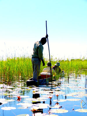 Visitors taking a tour of Botswana’s Okavango Delta by mokoro.