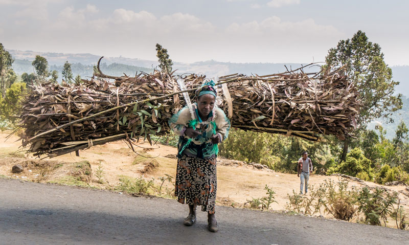 This woman is carrying roof thatching to sell in a small town market.